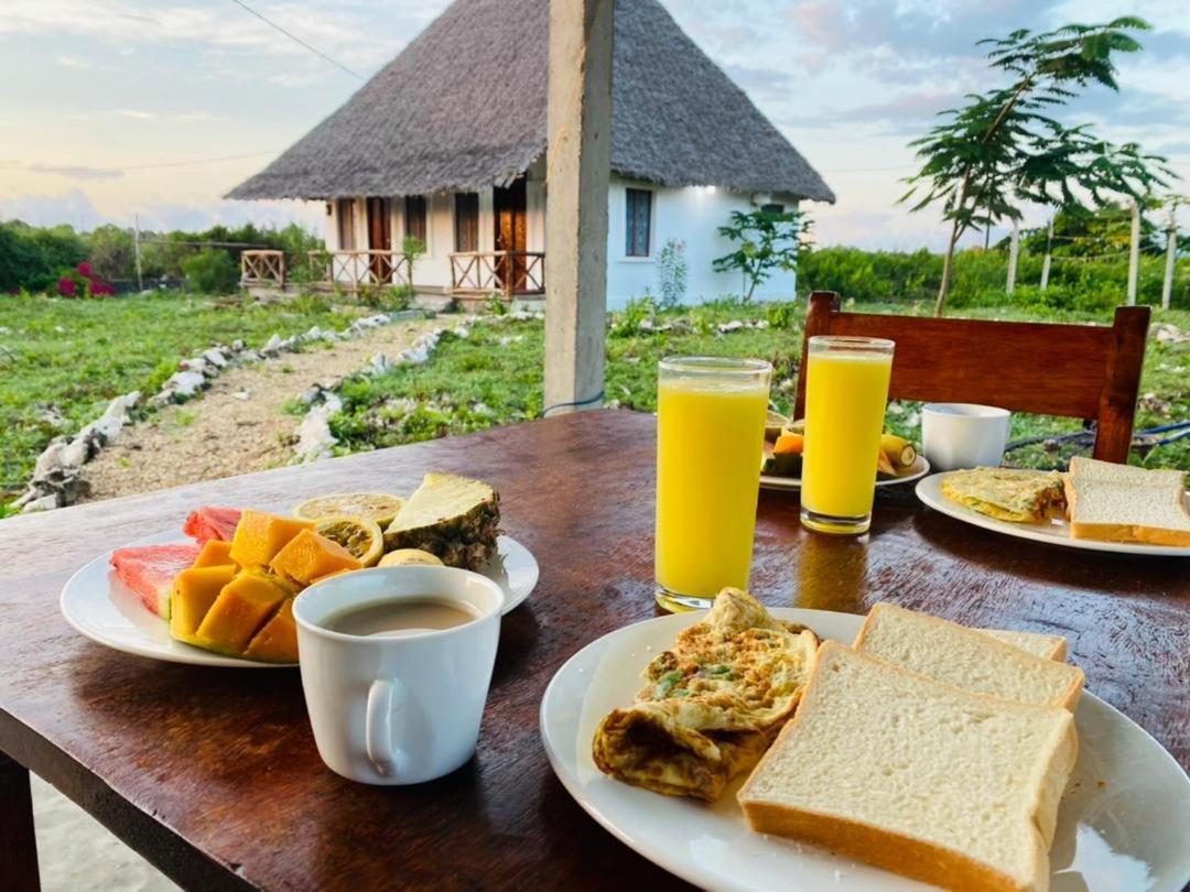 Bed and Breakfast Habibis Bottle House Nungwi Zewnętrze zdjęcie